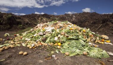 Use by v Best before: Key to knowing how to cut your household food waste