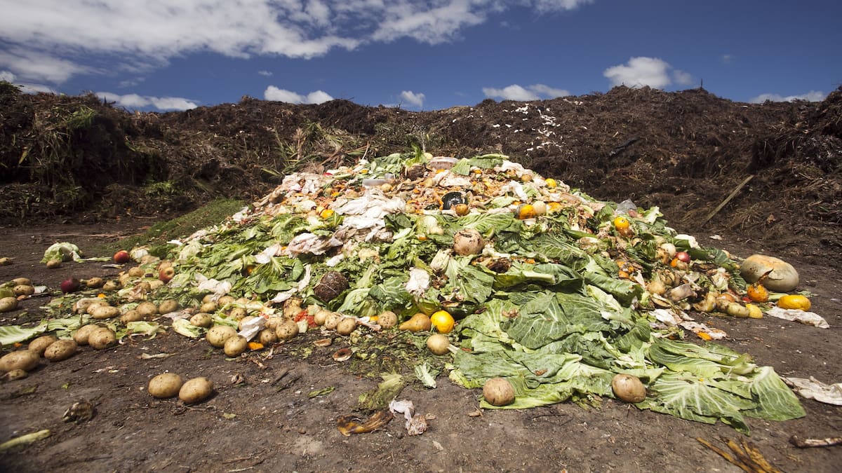 Use by v Best before: Key to knowing how to cut your household food waste