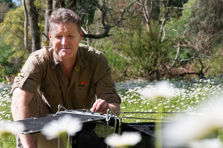 Man smiling at wildlife trap.