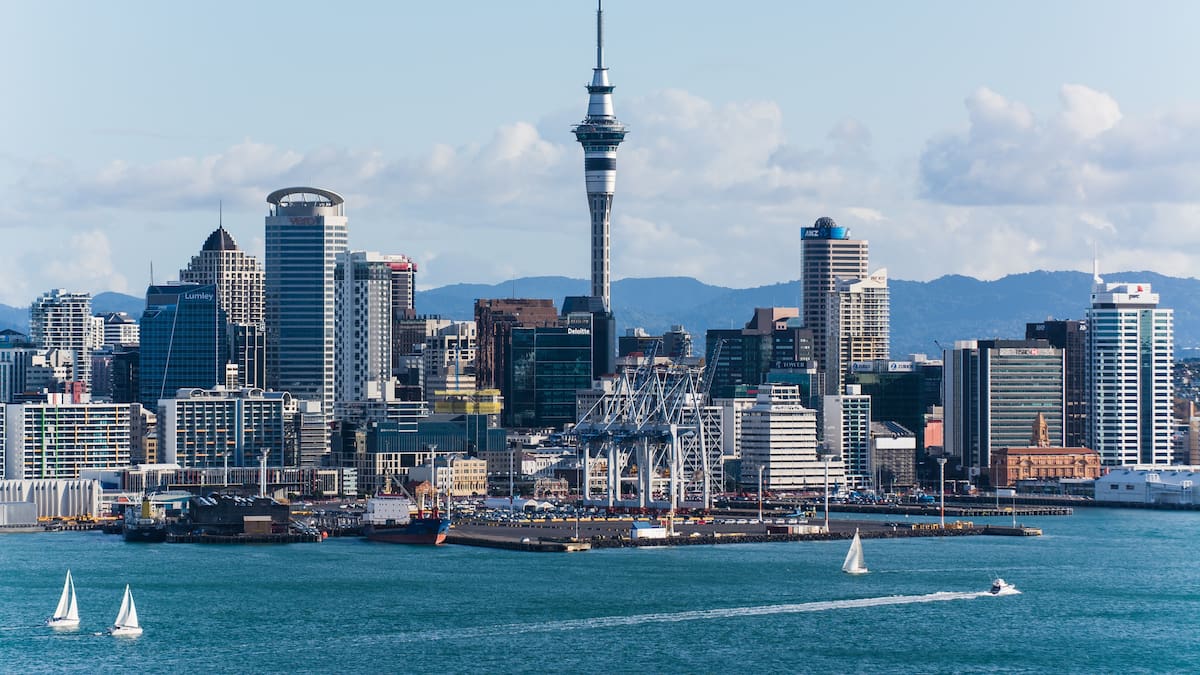 Auckland housing changes: Interactive map shows what could be built at your property