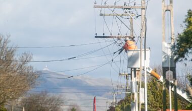 Dividend for Hawke’s Bay Power trust consumers will be $275 this year