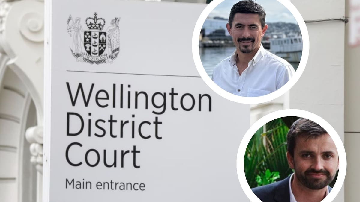 Wellington waterfront drowning inquest: Council knew of safety risks before Isaac Levings’ death