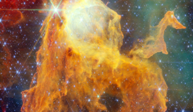 James Webb Space Telescope reveals cosmic ‘treasure chest’ of young stars | Northwest & National News