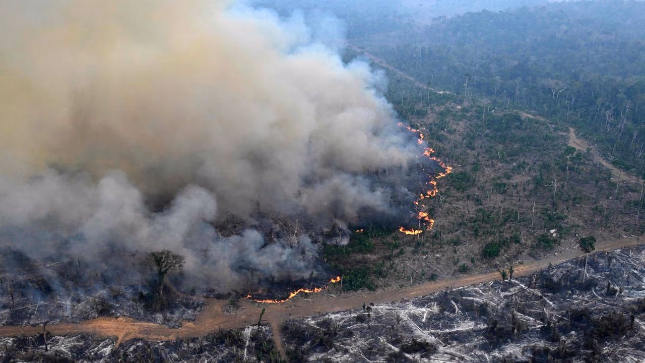 ‘Super’ El Nino could doom the Amazon Rainforest
