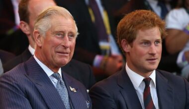 Royal Family insider dismisses Prince Harry’s brutal King Charles claim | Royal | News