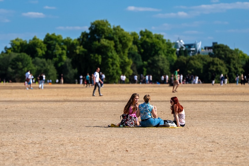 Hyde Park dry