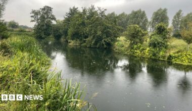 A landscape view of the River Stour with shrubbery on both sides and light glistening off of the water surface