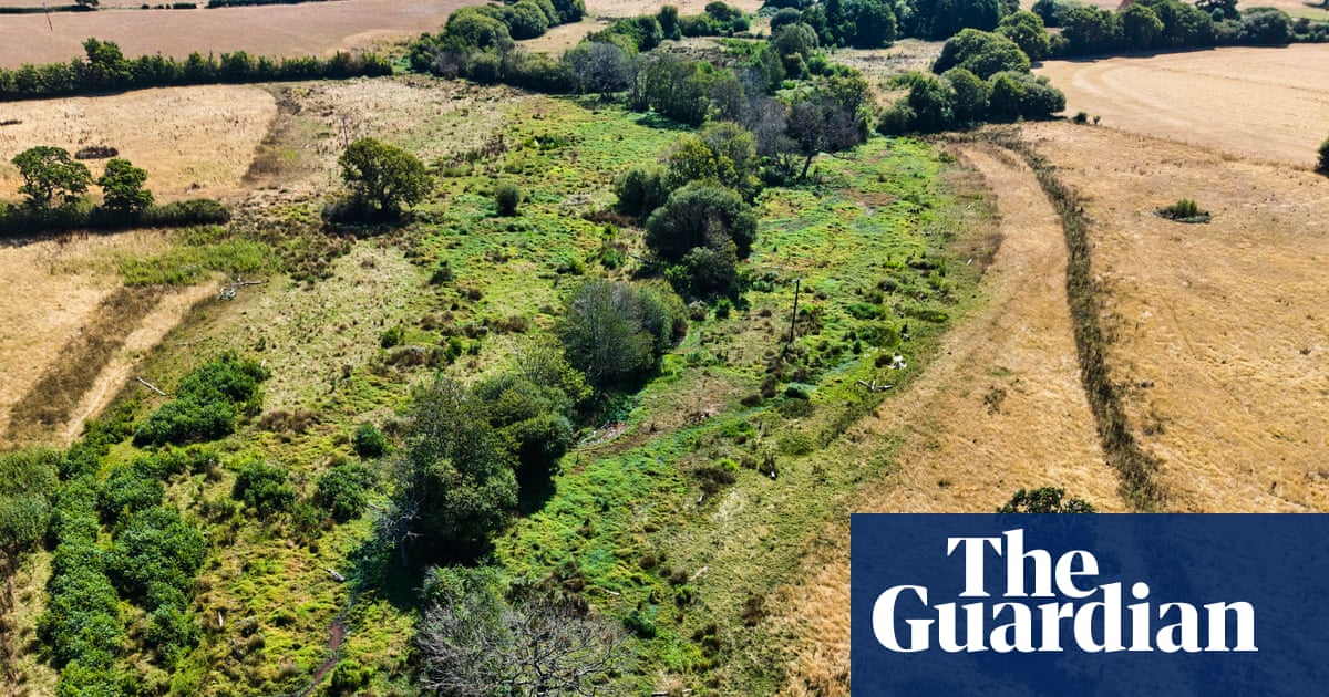 Rewilded land remains green amid drought-stricken English countryside, images show | Rewilding