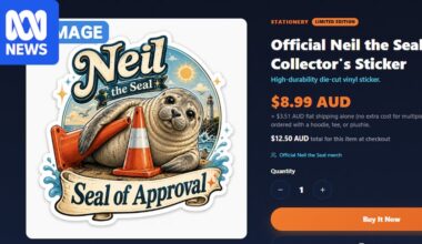 Neil the seal merchandise website taken down after questions about conservation donation claims