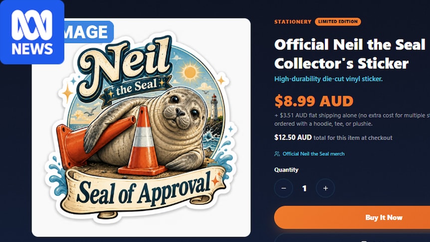 Neil the seal merchandise website taken down after questions about conservation donation claims