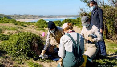 Australia confirms H5N1 bird flu case in local mammal