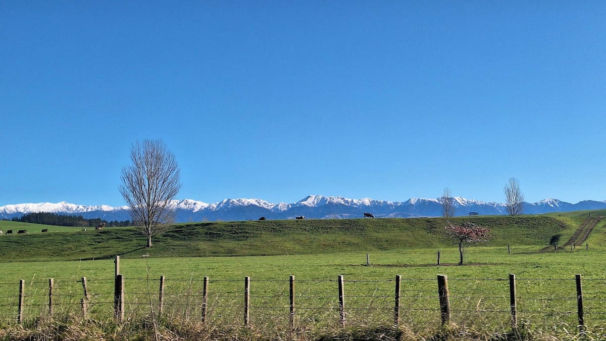 Hawke’s Bay braces for coldest mornings of the year as snow warning issued for SH5