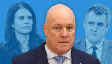 National leadership challenge: Heather du Plessis-Allan says Luxon has lost three loyal MPs