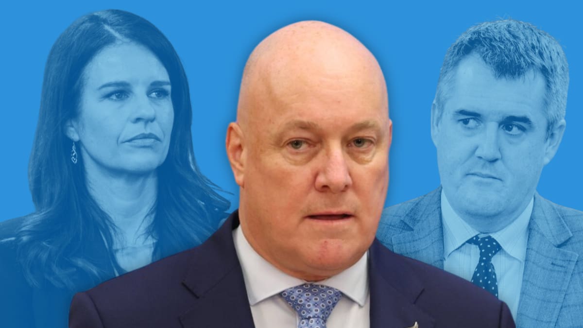 National leadership challenge: Heather du Plessis-Allan says Luxon has lost three loyal MPs