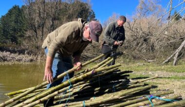 Hawke’s Bay farm Tarawera Station expands erosion-control planting