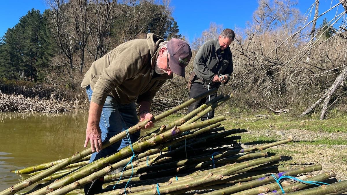 Hawke’s Bay farm Tarawera Station expands erosion-control planting