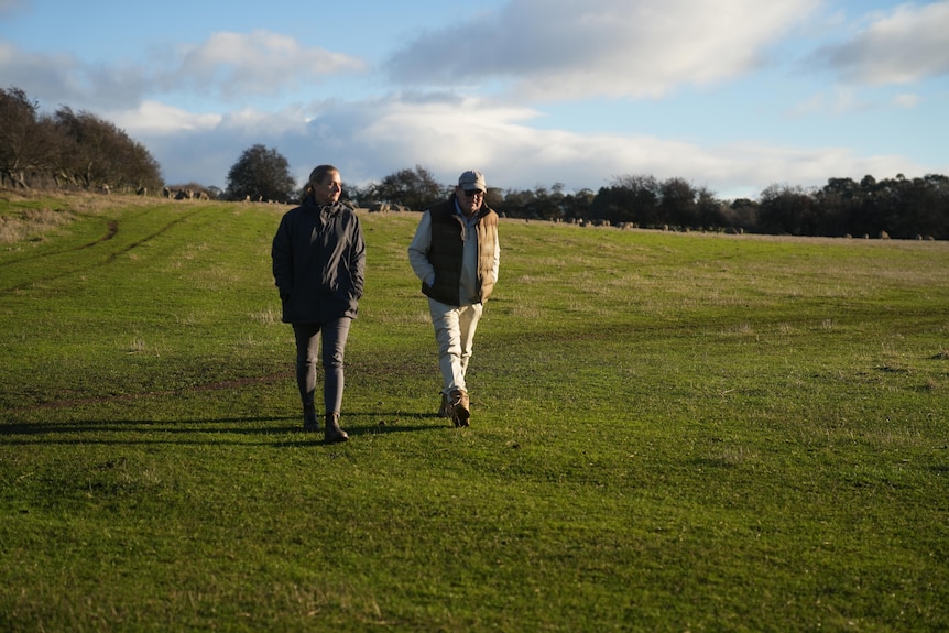 The pair walk down a paddock together as the sun sets