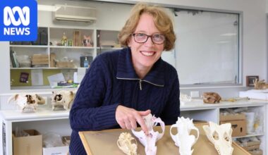 Research challenges previously held ideas about Tasmanian tiger