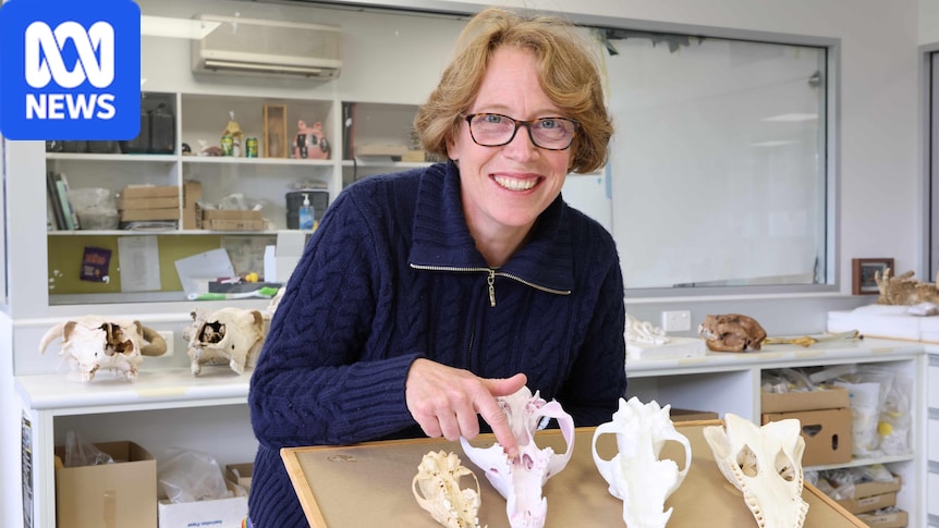 Research challenges previously held ideas about Tasmanian tiger