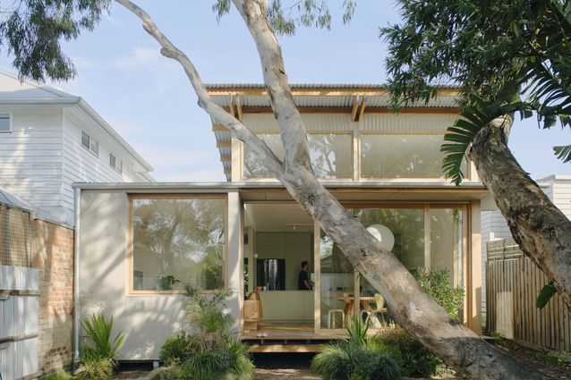Thornbury Eucalypt House by Card
