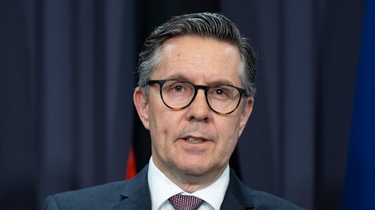 Health Minister Mark Butler.