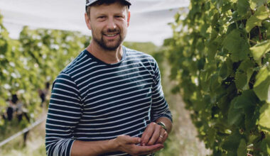 Sauvignon NZ27