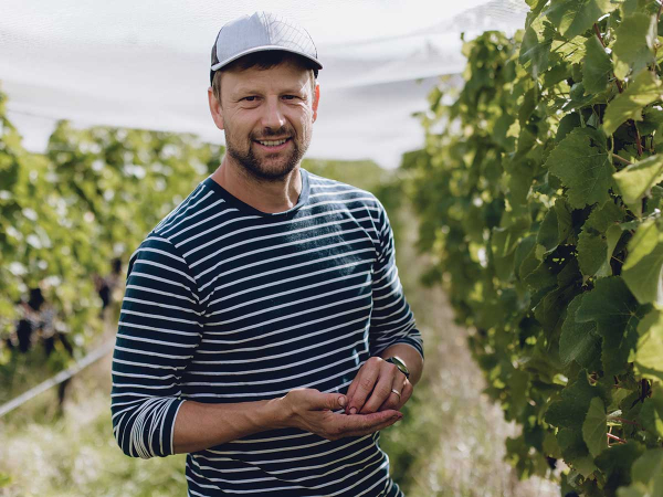 Sauvignon NZ27