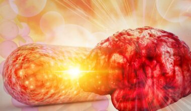 There’s a New Link Between Gut Health and Alzheimer’s Disease