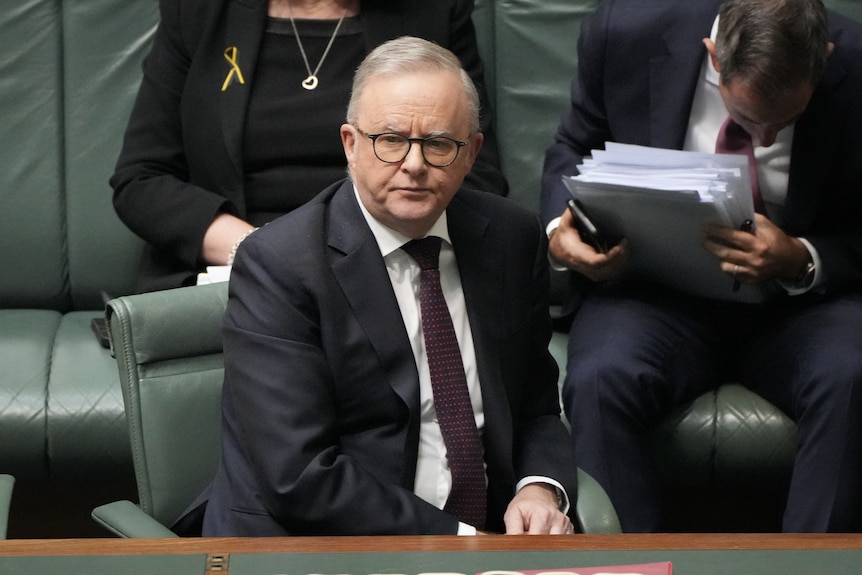 Anthony Albanese sitting in parliament