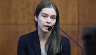 Defence lawyer takes aim at psychiatrist's care before Lindsay Clancy killed her 3 kids - stuff.co.nz
