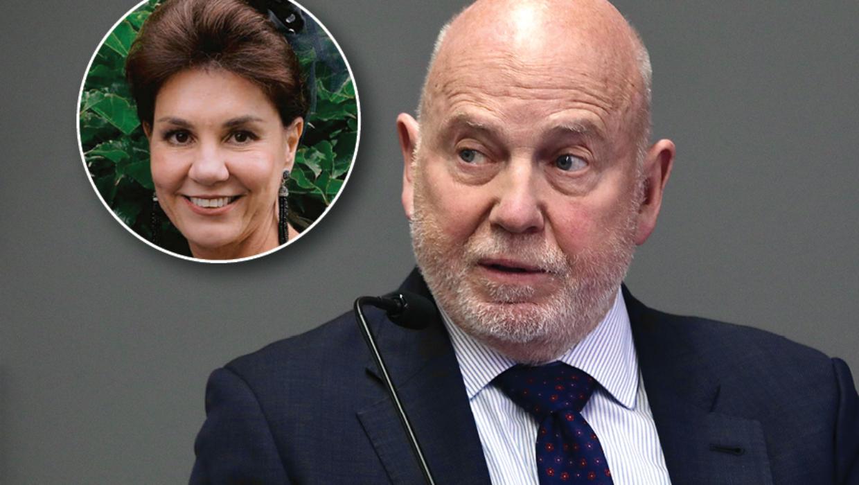Unseen footage of Polkinghorne’s doco interview shown at Pauline Hanna inquest - Stuff