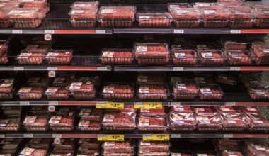 Beef mince hits record high - and prices aren’t coming down soon - Stuff