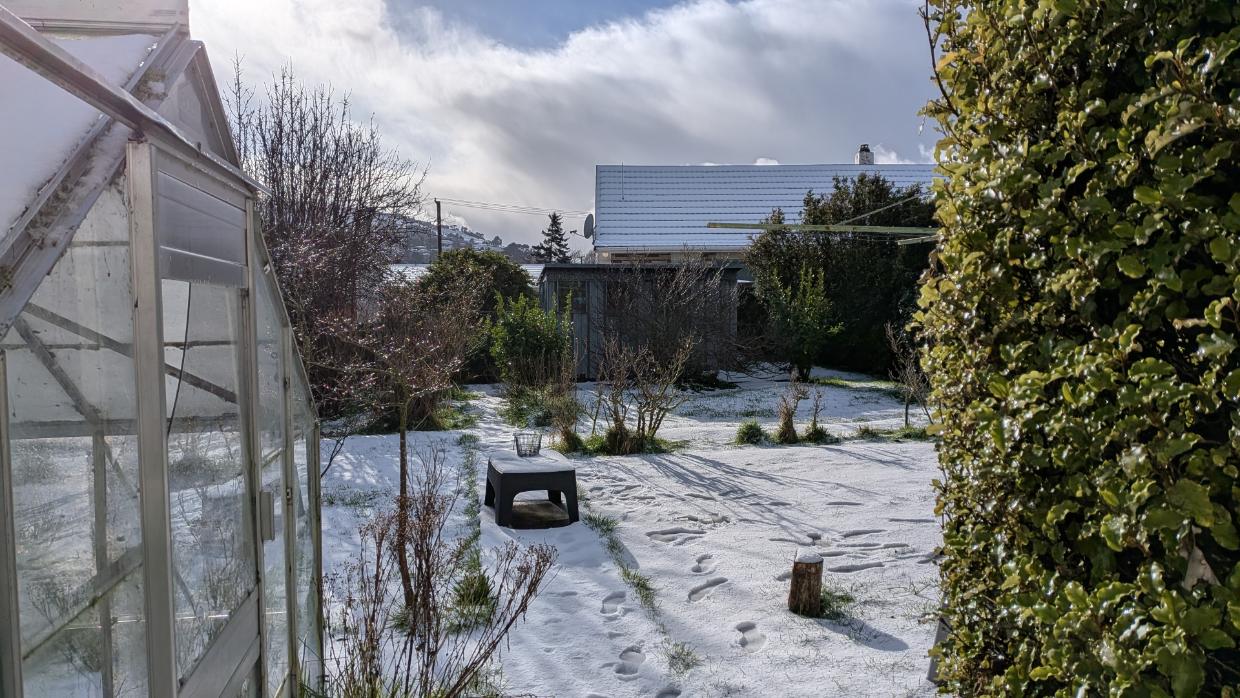 Tonight will be the coldest night of the year with sub-zero temperatures for much of NZ - Stuff