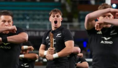 Springboks v All Blacks: What you need to know for first test at Ellis Park - Stuff
