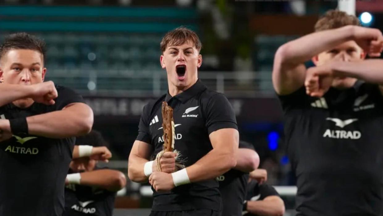 Springboks v All Blacks: What you need to know for first test at Ellis Park - Stuff