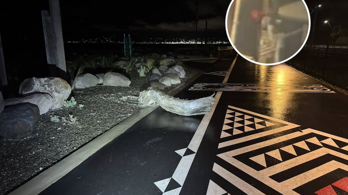 Wellington cycleway vandalism: CCTV shows pedestrian leaving trail of destruction