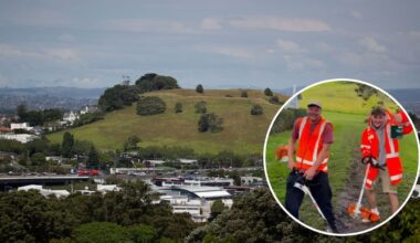 City Slikas claim obscene Auckland Ōhinerau/Mt Hobson mowing prank as police contacted