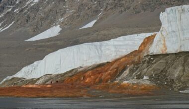 Ancient Life Discovered in Antarctica's 'Blood Falls' May Finally Reveal Its Origins