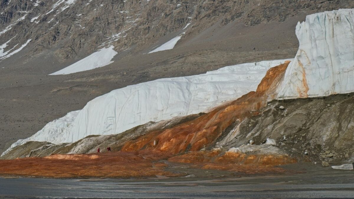 Ancient Life Discovered in Antarctica's 'Blood Falls' May Finally Reveal Its Origins