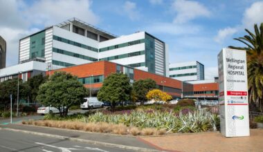 Wellington Hospital called a ‘s***show’ as patients forced to wait 24 hours