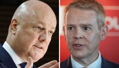 Labour leads National as Opportunity Party hits 8% in 1News-Verian poll
