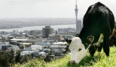 Inside Economics: Why a bad Auckland economy drags the whole country down; plus, the beer tax debate heats up