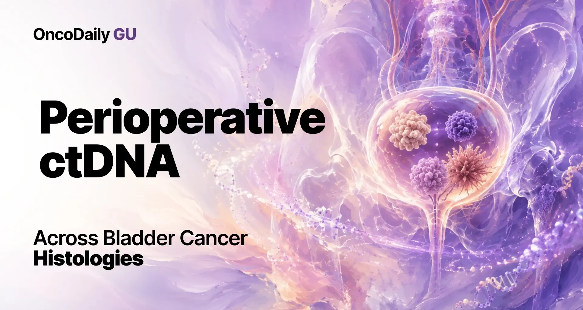 Prognostic Value of Perioperative ctDNA Across Bladder Cancer Histologies
