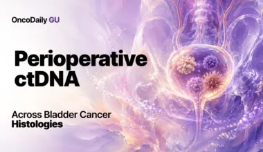 Prognostic Value of Perioperative ctDNA Across Bladder Cancer Histologies