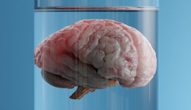 What if The Brain Doesn't Create Consciousness? Scientist Proposes It Might Be The Fabric of Reality Itself : ScienceAlert