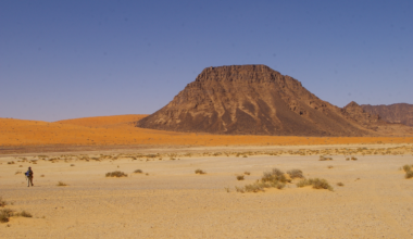 Neanderthals may have trekked through the Saudi Arabian desert 55,000 years ago, farther south than experts thought possible