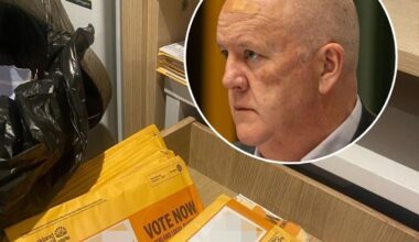 Manurewa Local Board: Auckland Council appoints observer amid vote-rigging claims