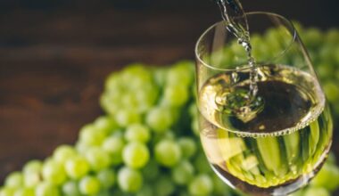 Global wine slump affecting exports from Downunder