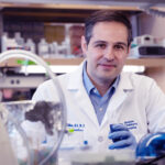 Ebrahimi-Fakhari at the lab bench studying hereditary spastic paraplegia