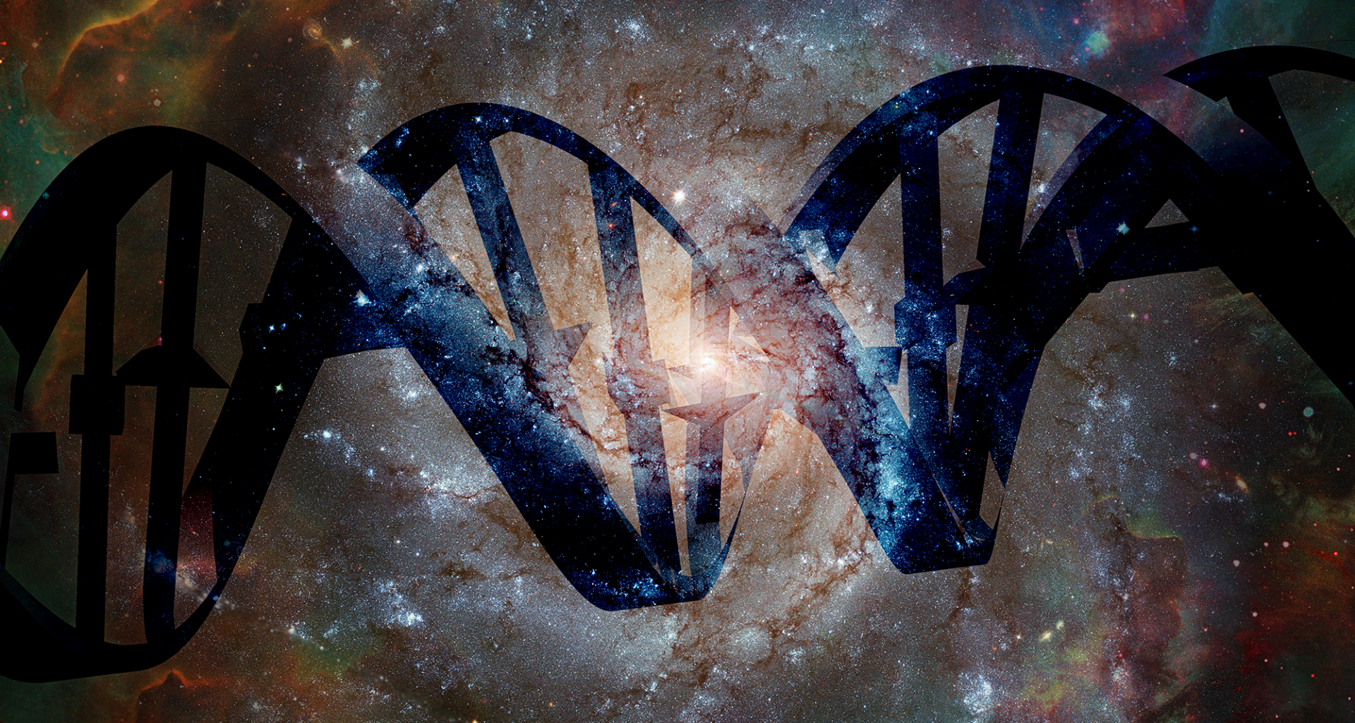 Which building blocks of life have been found in space, and which haven't?